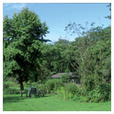 Inner Guidance Image